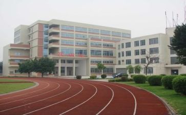 校园文化报告总结5篇