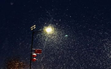下雪作文600字5篇