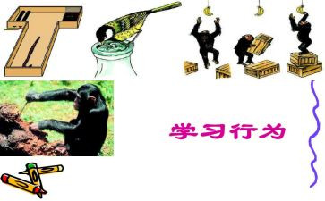 读教师行为32忌心得体会8篇