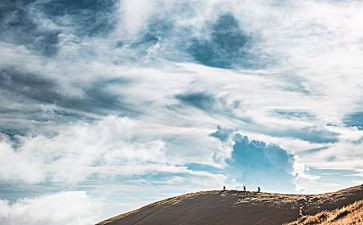 盲行者观后感5篇