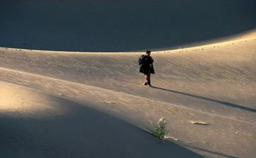 《行者》读后感7篇