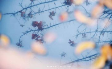 心灵的旅行作文6篇