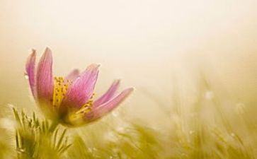 心灵的旅行作文推荐6篇