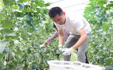 乡镇新农合工作总结8篇