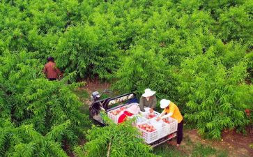新农合的自查报告推荐6篇