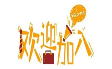 新人转正工作总结8篇