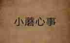 关于写心事的作文5篇