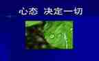 调整心态心得体会6篇