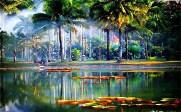 西双版纳游后感作文精选6篇