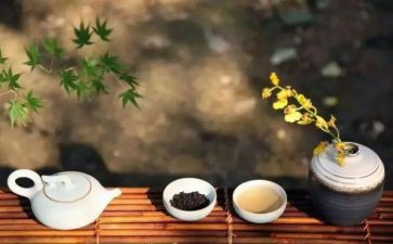 修身的作文模板7篇
