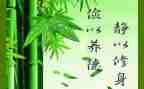 修身有关的作文5篇