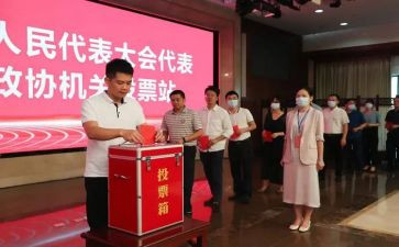 镇两委换届选举工作总结6篇