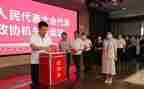 镇两委换届选举工作总结6篇