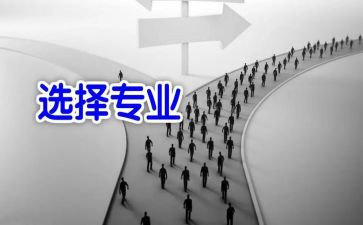 学生选专业调查报告5篇