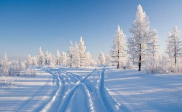 雪为主题的演讲稿8篇