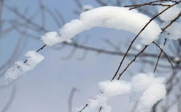 小区除雪工作计划通用5篇