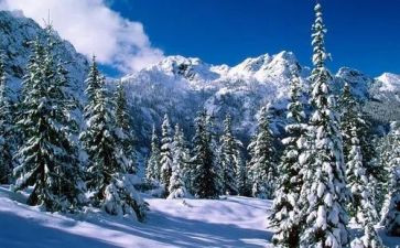 公益除雪心得体会模板8篇