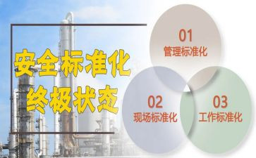 学标准用标准懂标准活动总结8篇