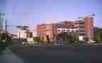 团学部的述职报告7篇