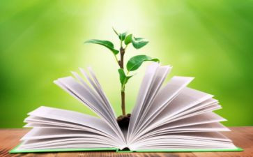 蒙氏数学工作计划优质6篇
