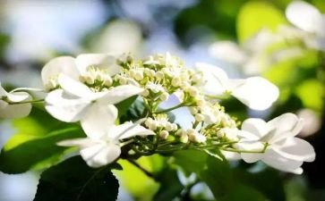 大一学年鉴定表自我鉴定范文7篇