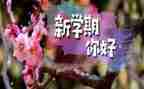 大学生一学期的自我鉴定优秀5篇