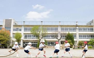 个人总结范文大学生800模板8篇