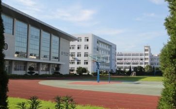 学校伴我成长作文7篇