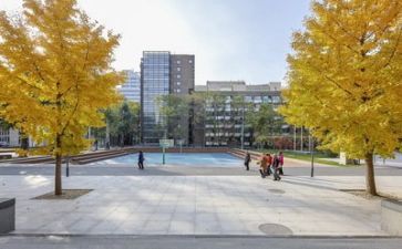 高等学校自我鉴定7篇
