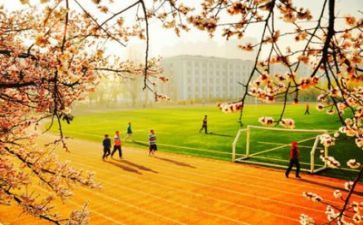 2023学校财务工作计划推荐6篇