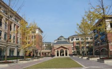 学校述职报告2023最新7篇