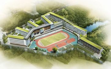 在学校的军训心得体会5篇