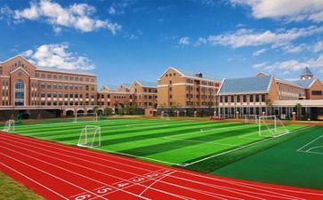 我们的学校作文7篇