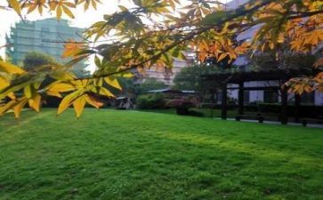 在学校的工作心得体会范文5篇