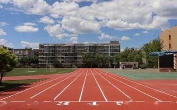 学校自我鉴定500字7篇