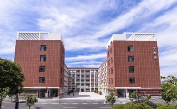 学校副校长年度述职报告8篇