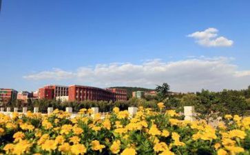 学校个人年度总结优秀7篇