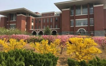 学校情主题活动总结5篇