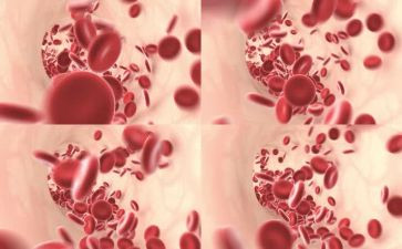 血液科自我鉴定6篇