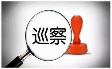 巡察员工作总结5篇