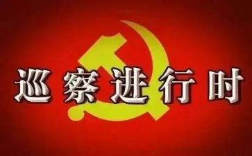 巡察前的自查报告7篇