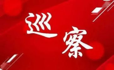 巡察个人总结8篇