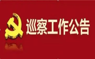 巡察干部的个人述职报告7篇
