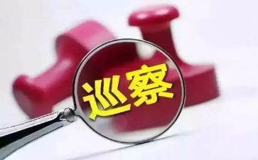 第巡察组巡察工作总结最新8篇