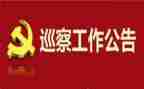 巡察干部的个人述职报告7篇