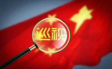 巡视的心得体会6篇