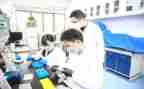 研究2023年支部工作计划5篇