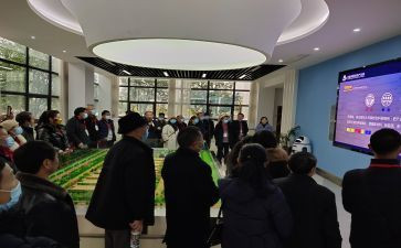 教师研修网心得体会模板8篇