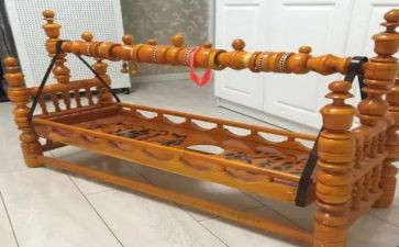 《祖先的摇篮》教案8篇