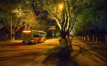 圣诞夜活动总结最新6篇